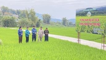Lai Châu: Hướng dẫn hỗ trợ phát triển sản phẩm OCOP khi thực hiện chính quyền địa phương 2 cấp