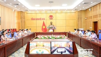 Không đánh thuế chồng thuế đối với đất đai