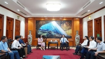 Plan International mở rộng hợp tác với Quảng Trị trên các lĩnh vực mới