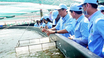 របកគំហើញបច្ចេកវិទ្យាឌីជីថលក្នុងវារីវប្បកម្ម