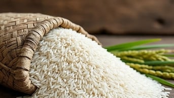 Giá lúa gạo hôm nay 13/8: Xuất khẩu dẫn đầu, nội địa ổn định