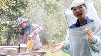 Viết giấc mơ khởi nghiệp từ những giọt mật