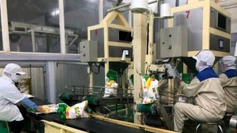 Kỳ vọng xuất khẩu gạo vào thị trường mới