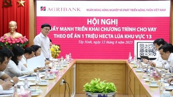 Agribank នៅតំបន់ភាគនិរតីផ្សព្វផ្សាយប្រាក់កម្ចីសម្រាប់គម្រោងស្រូវគុណភាពខ្ពស់ 1 លានហិកតា។