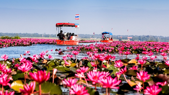 Hồ sen đỏ Talay Bua Daeng và những điểm sống ảo thiên nhiên ở Udon Thani
