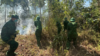ប៉ុស្តិ៍ឆ្មាំព្រំដែន My An បានពន្លត់ភ្លើងឆេះព្រៃភ្លាមៗ។