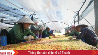 Thực hiện Nghị quyết 68: “Không tô hồng” và phải “đong, đếm được”