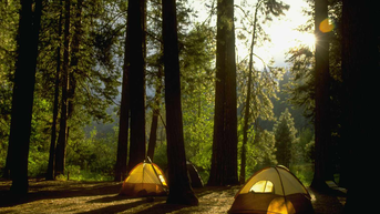 Trải nghiệm cắm trại ở Yosemite National Park: Hành trình đưa bạn đến gần hơn với vẻ đẹp nguyên sơ