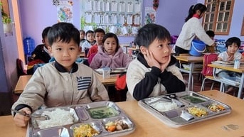 학교 영양을 통한 베트남인 위상 향상