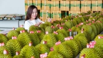 Đưa nông nghiệp Việt Nam vào top 15 thế giới năm 2030