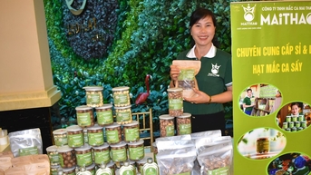 Hình thành vùng nguyên liệu mắc ca bền vững