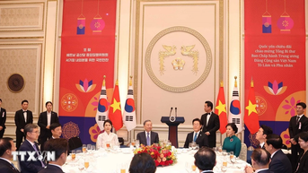Những cây cầu hữu nghị từ trái tim Hàn-Việt