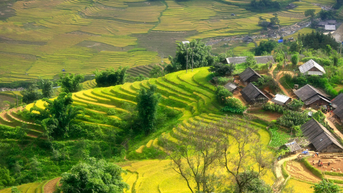 Khám phá top 8 bản làng ở Tây Bắc: Vẻ đẹp nguyên sơ và đậm đà bản sắc dân tộc