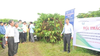 លើកទឹកចិត្តកសិករឱ្យប្រើប្រាស់ការផ្គត់ផ្គង់កសិកម្មប្រកបដោយការទទួលខុសត្រូវ