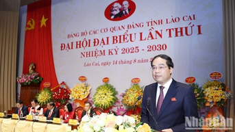 Đại hội đại biểu Đảng bộ các cơ quan Đảng tỉnh Lào Cai lần thứ I, nhiệm kỳ 2025-2030