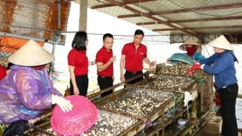 Agribank đồng hành cùng kinh tế tư nhân - Bài 1: Đẩy mạnh dòng vốn, khơi thông tiềm lực