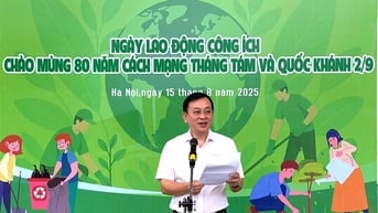 Bảo tàng Hồ Chí Minh tổ chức Ngày lao động công ích chào mừng 80 năm Cách mạng Tháng Tám và Quốc khánh 2/9