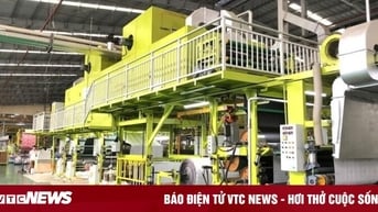 Vì sao tòa quyết định mở thủ tục phá sản nhựa Rạng Đông?