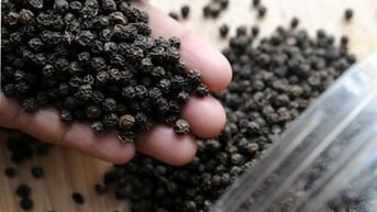Giá tiêu hôm nay 15/8: Ổn định ở mức giá cao