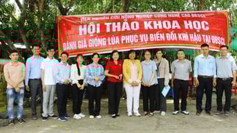 Đánh giá các giống lúa thích ứng biến đổi khí hậu