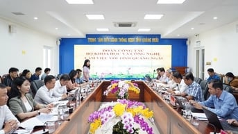 Quảng Ngãi tăng cường hạ tầng số, đảm bảo vận hành chính quyền hai cấp hiệu quả, thông suốt