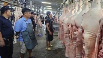 Giá thịt heo bình ổn giảm đến 10.000 đồng/kg