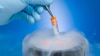 Quy định tiêu chuẩn sức khỏe của người nhận tinh trùng, noãn, phôi