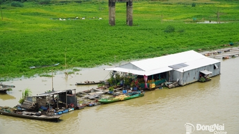 Năng lượng xanh trên làng bè La Ngà