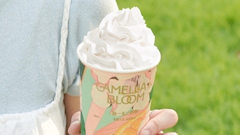 ផ្កា Camellia - រសជាតិបីដងពីតែទឹកដោះគោ Shuyi