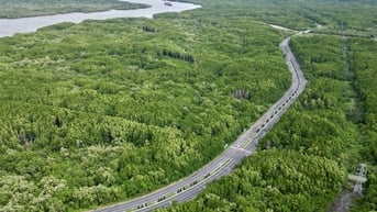 Bổ sung quy định về tạm sử dụng rừng để thi công các dự án cấp thiết
