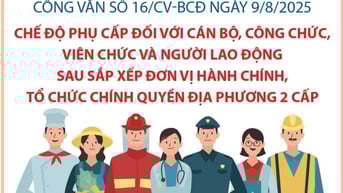 Chế độ phụ cấp với cán bộ, công chức, viên chức và người lao động sau sắp xếp