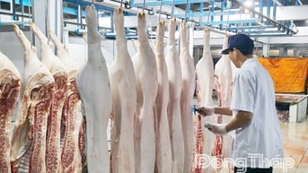 Chủ động triển khai đồng bộ các giải pháp phòng, chống