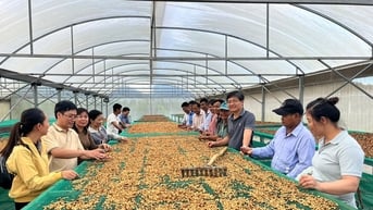 Bước đi mới ở Công viên Địa chất toàn cầu