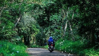 Hơn trăm người tìm kiếm du khách bị mất liên lạc hơn 2 ngày ở Vườn quốc gia Cúc Phương
