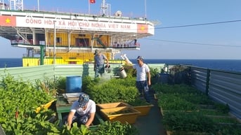 Sống giữa biển khơi