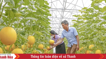 Khó khăn khi phát triển nông nghiệp công nghệ cao