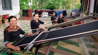 Hỗ trợ 16.000 phụ nữ và đồng bào dân tộc thiểu số tại Đắk Lắk cải thiện sinh kế