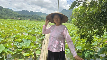 Ý tưởng làm du lịch từ đầm sen quê của người phụ nữ dân tộc Tày