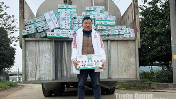 Những ân tình của Cu Ba với ngành nuôi bò sữa Việt Nam