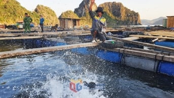 Điều chỉnh mức thu tiền sử dụng khu vực biển để gia tăng sức cạnh tranh cho ngành thủy sản