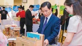 Hỗ trợ doanh nghiệp: Một bàn tay khó làm nên tiếng vỗ - Bài 1: Nền móng đã xây