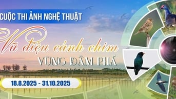 Phát động Cuộc thi ảnh nghệ thuật "Vũ điệu cánh chim vùng đầm phá"