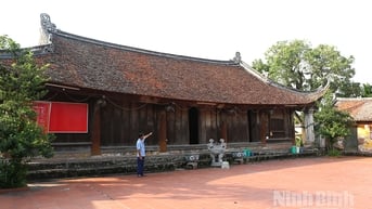 Phát huy giá trị kinh tế từ quần thể nhà gỗ cổ Cao Đà
