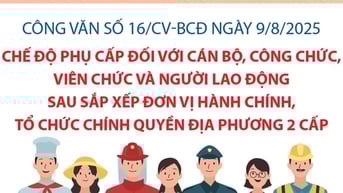Quy định về chế độ phụ cấp đối với cán bộ, công chức, viên chức và người lao động sau sắp xếp