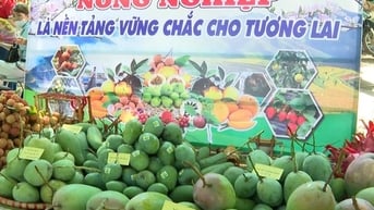 Tập trung phát triển sản phẩm nông sản chất lượng cao ở Yên Châu