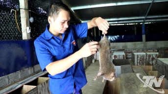 ការចិញ្ចឹមកណ្តុរឬស្សី - ទិសដៅបើកចំហសម្រាប់សេដ្ឋកិច្ចជនបទ