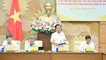 Còn 24 khó khăn, vướng mắc liên quan đến Luật Bảo vệ môi trường