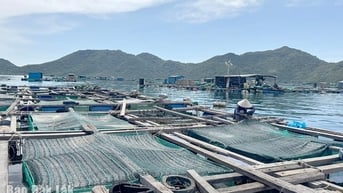 Hòa Xuân tăng cường quản lý đất đai, nuôi trồng thủy sản