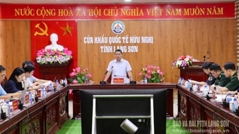 Kiểm tra tình hình xuất nhập khẩu hàng hóa tại Cửa khẩu Quốc tế Hữu Nghị