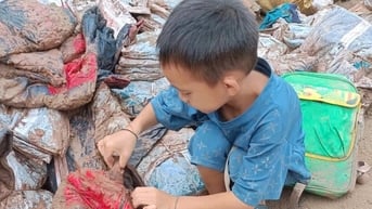 Học sinh vùng lũ Nghệ An sẽ tựu trường ở nhà văn hóa bản